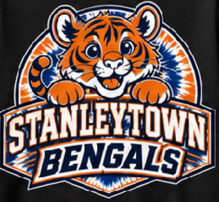 Stanley Town Elementary