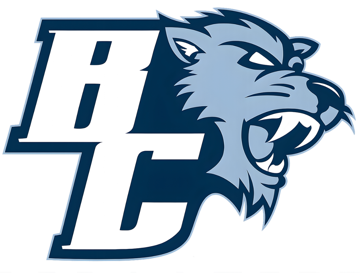 Baruch Softball - TieDye Hoodie or T-shirt