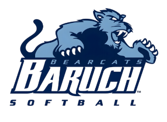 Baruch - Bags (Cinch , Tote,  Crossbody)