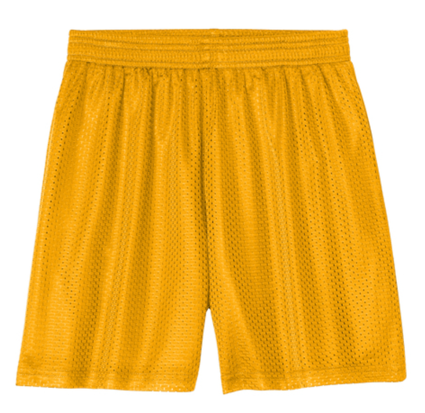 Mountain Way Elementary - Mesh Shorts