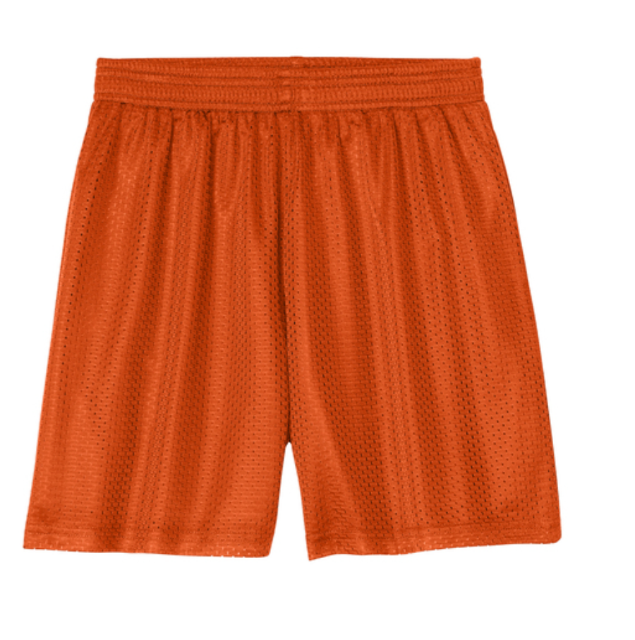 Mountain Way Elementary - Mesh Shorts