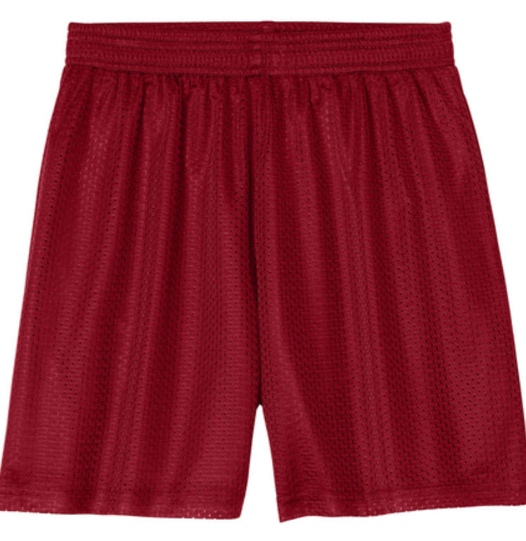 Mountain Way Elementary - Mesh Shorts