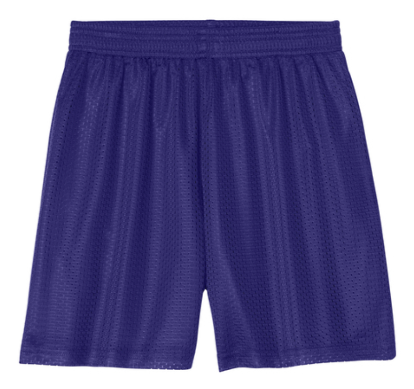 Mountain Way Elementary - Mesh Shorts